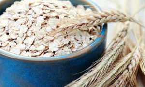 Лечение заболеваний поджелудочной железы при помощи овса