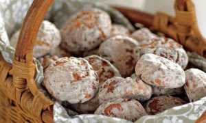 Можно ли при панкреатите есть пряники?