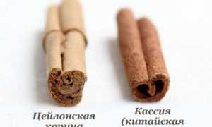 Корица от сахарного диабета