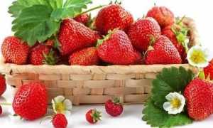Можно ли есть клубнику и землянику при панкреатите