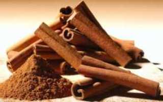 Правила применения корицы для диабетиков