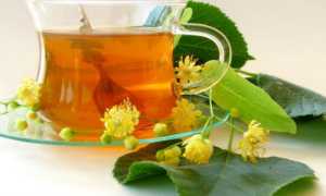 Фиточай для лечения поджелудочной железы