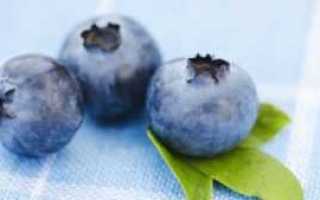 Черника и ее влияние на здоровье диабетика