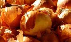 Применение луковой шелухи при сахарном диабете