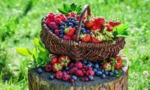 Разрешенные ягоды для диабетиков