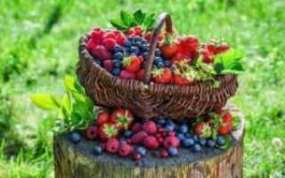 Разрешенные ягоды для диабетиков