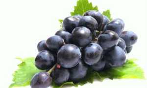 Виноград при панкреатите