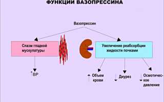 Сахар в моче (глюкозурия)