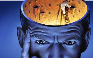 Лучшие медикаменты для улучшения памяти и мозгового кровообращения