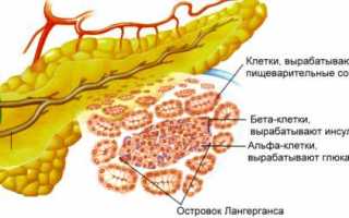 Инсулина функции, роль в организме. Заболевания, вызванные недостаточностью и переизбытком гормона