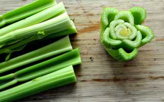 Польза и вред сельдерея