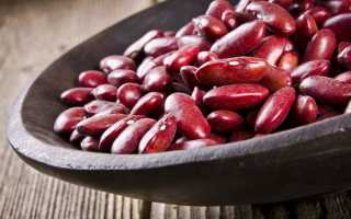 Особенности усвоения фасоли организмом, польза и вред бобовых, противопоказания