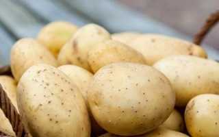 Правила употребления картофеля при панкреатите: безопасные рецепты