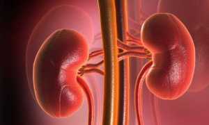 Диабетическая нефропатия – механизм развития, методы лечения