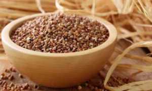 Гречка — полезна ли она при диабете?