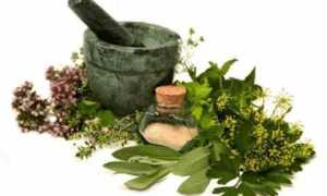 Травы, снижающие сахар в крови и полезные при диабете