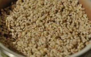 Перловка разрешенные рецепты для диабетиков