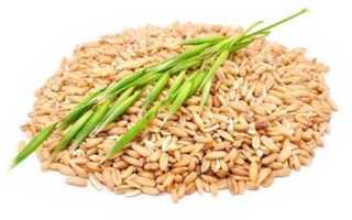 Рецепты приготовления овса для лечения сахарного диабета соблюдаем правила