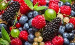 Какие ягоды можно включать в рацион при сахарном диабете?
