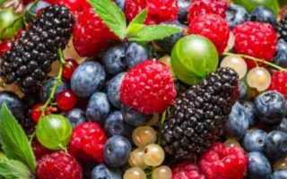 Какие ягоды можно включать в рацион при сахарном диабете?