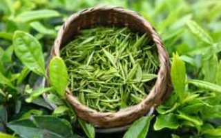 Рецепты с травой рыжей при диабете