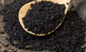 Масло черного тмина при лечении панкреатита