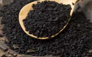 Масло черного тмина при лечении панкреатита