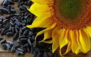 Диабет 2 типа и семена подсолнуха правила употребления