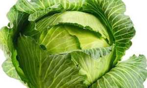 Можно ли при панкреатите есть капусту