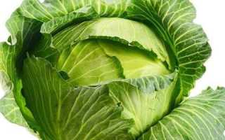 Можно ли при панкреатите есть капусту