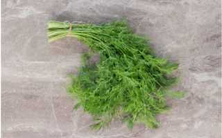 Укроп: польза и вред