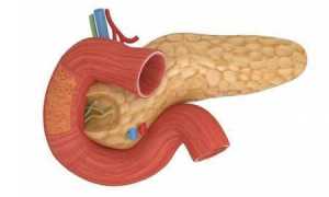 Где секретируется инсулин и что отвечает за выработку этого гормона?