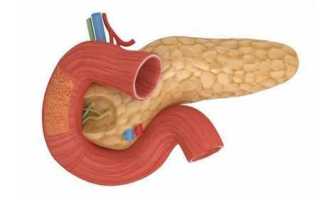 Где секретируется инсулин и что отвечает за выработку этого гормона?