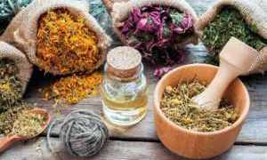 Рецепты с лечебными сборами от диабета 2 типа