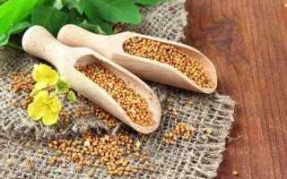 Можно ли есть горчицу при заболевании сахарным диабетом и как употреблять ее семя