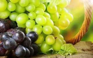 Можно ли при панкреатите есть виноград?