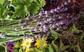 Травы для снижения сахара в крови рецепты для диабетиков