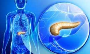 Поджелудочная железа и сахарный диабет