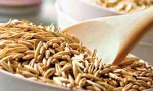 Как заварить и правильно пить кисель из овса для поджелудочной и печени?