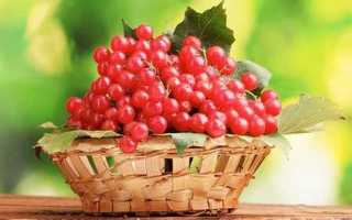Чем полезна калина при диабете и как ее употреблять для снижения сахара?