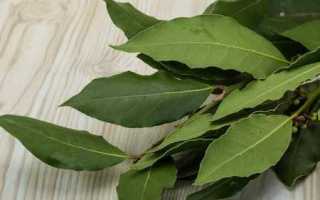 Как пить лавровый лист при лечении сахарного диабета (рецепты с отзывами)