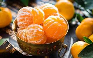 Витаминные бомбочки для организма: польза и вред мандаринов