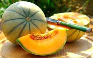 Дыня и её польза при сахарном диабете 2 типа и других нарушениях