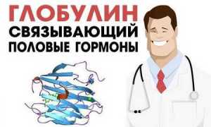 Глобулин связывающий половые гормоны и его функции в мужском и женском организме