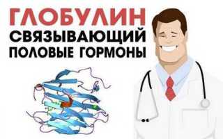 Глобулин связывающий половые гормоны и его функции в мужском и женском организме