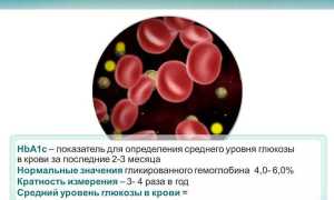Гликированный гемоглобин как сдать анализ и о чем расскажут результаты
