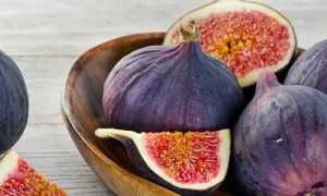 Особенности употребления и польза инжира при панкреатите