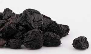 Чернослив и его применение диабетиками