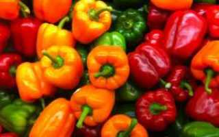 Разрешен ли болгарский перец при диабете 2 типа