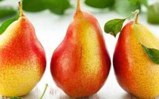 Употребление груш при панкреатите: можно или нет?